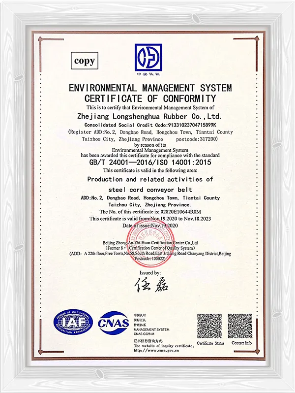 Environmental management system certificate of conformity