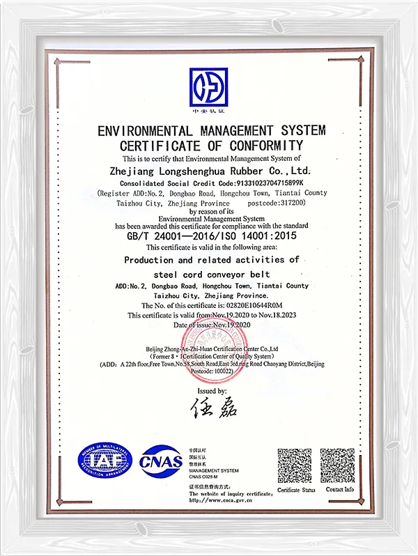 Environmental management system certificate of conformity