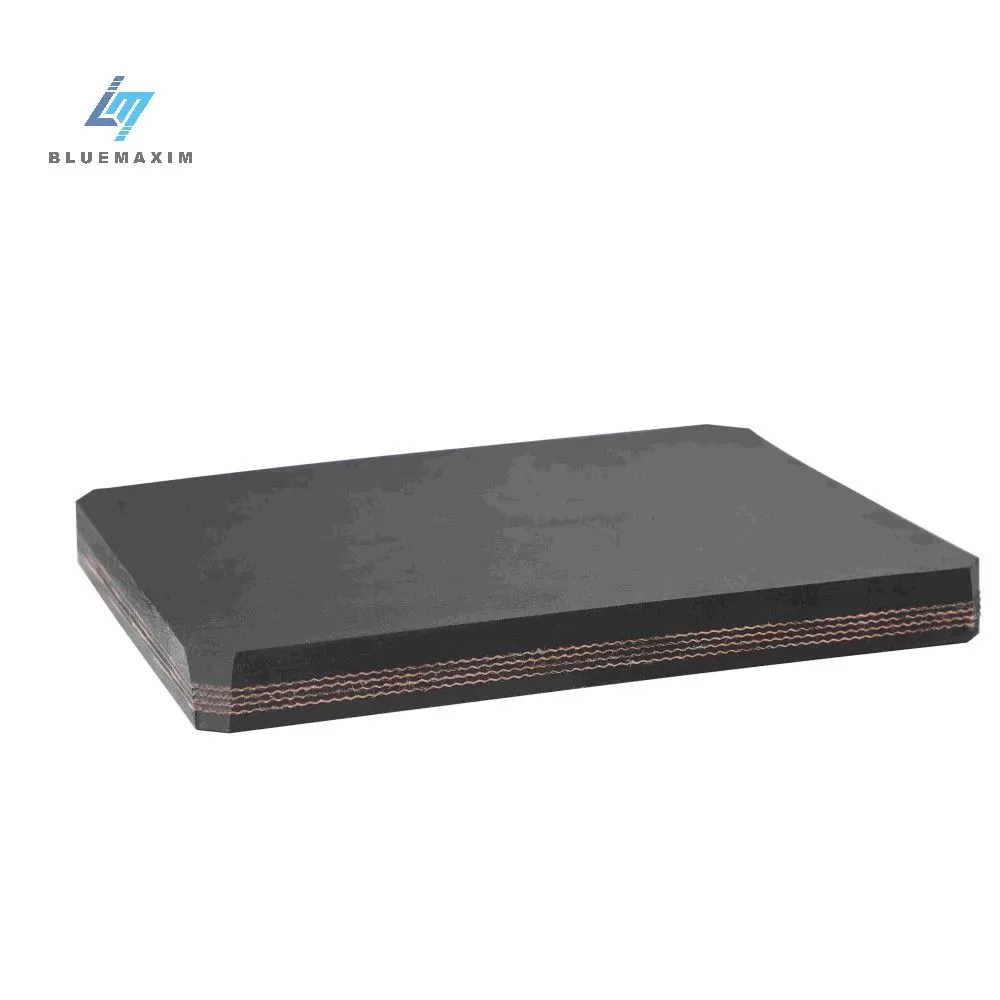 Nylon Conveyor Belt (NN)